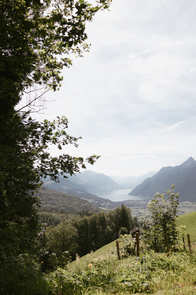 beautiful sight of the vierwaldstätter see in Swiss
