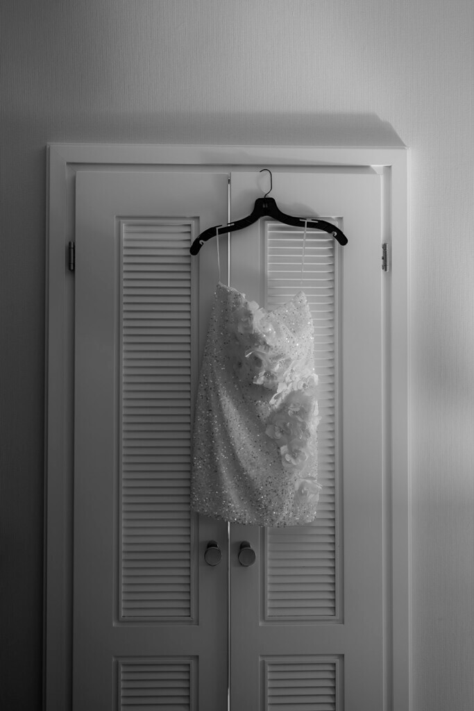 brides party dress