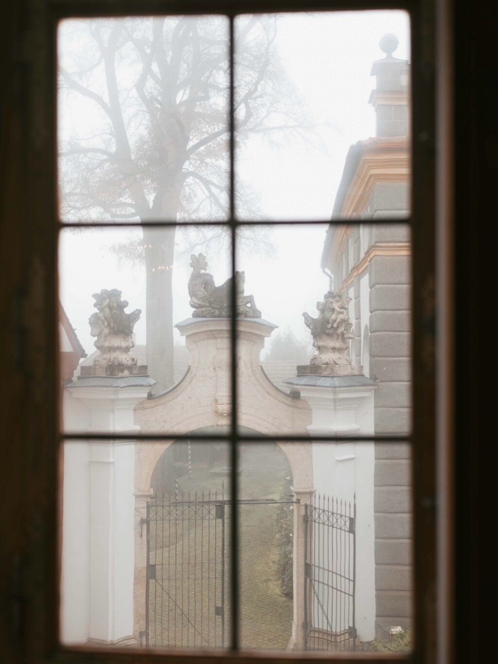 Instagram post from kathajehle.photography. This post is in position 1.